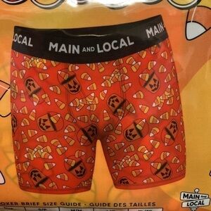 ORIGINAL CANDY CORN MEN'S BOXER BRIEFS